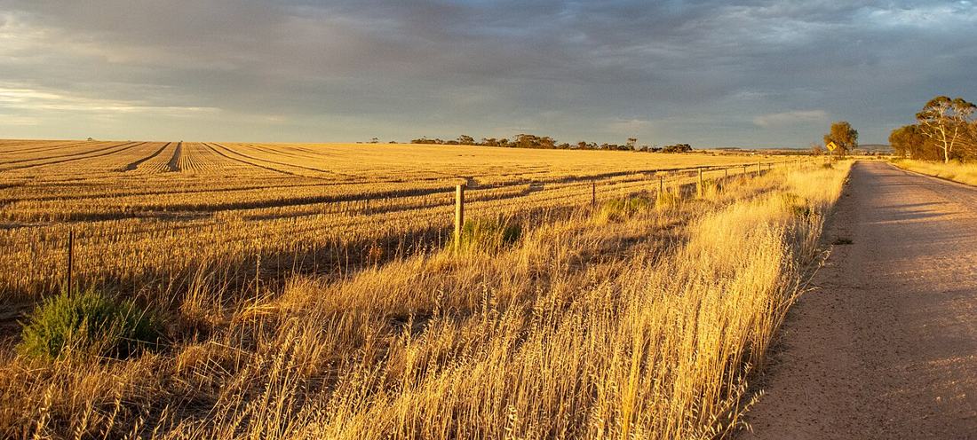 Fields at a farm